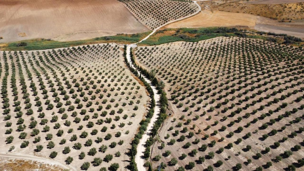 Cortijo Donana Villa La Puebla de Cazalla Ngoại thất bức ảnh