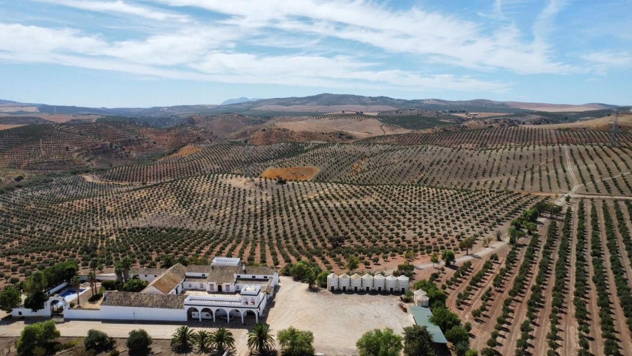 Cortijo Donana Villa La Puebla de Cazalla Ngoại thất bức ảnh