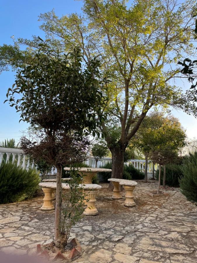 Cortijo Donana Villa La Puebla de Cazalla Ngoại thất bức ảnh